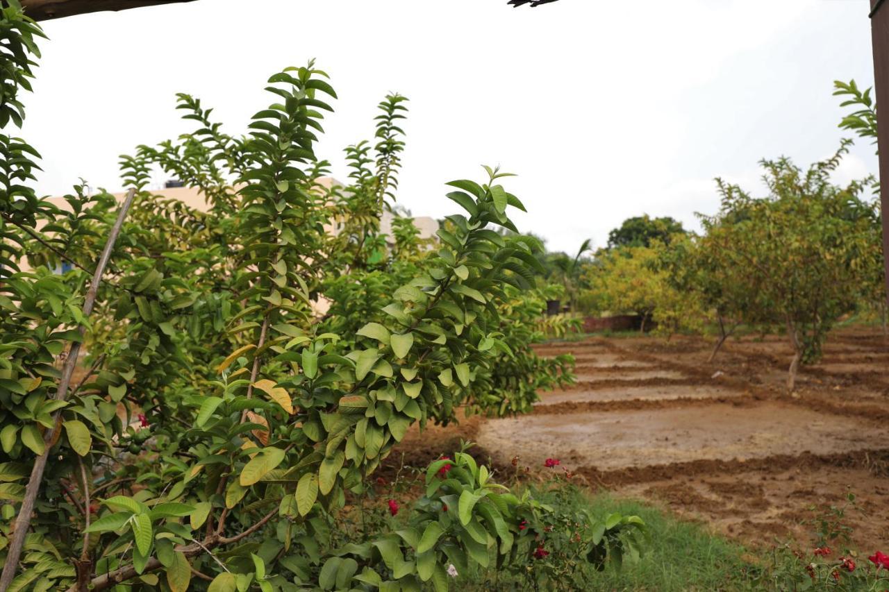 Camp Paridhi Ranthambhore, Homestay Sawai Madhopur Exterior photo