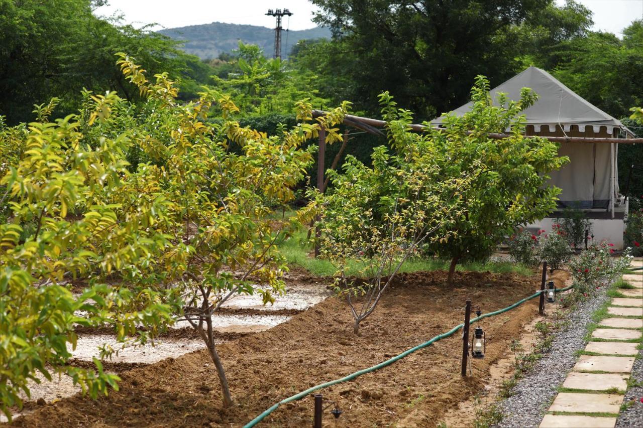 Camp Paridhi Ranthambhore, Homestay Sawai Madhopur Exterior photo